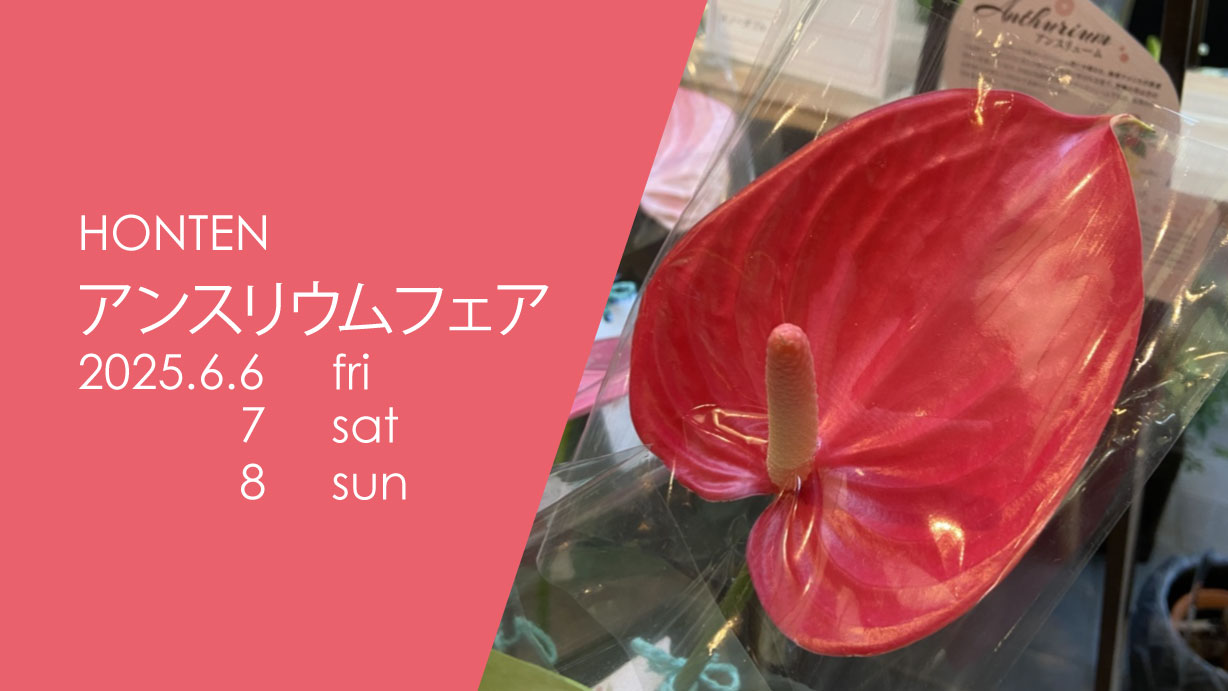2025_6_本店_新着top