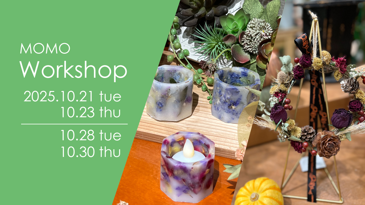 2025_10_momo_新着top