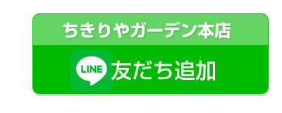 line_04