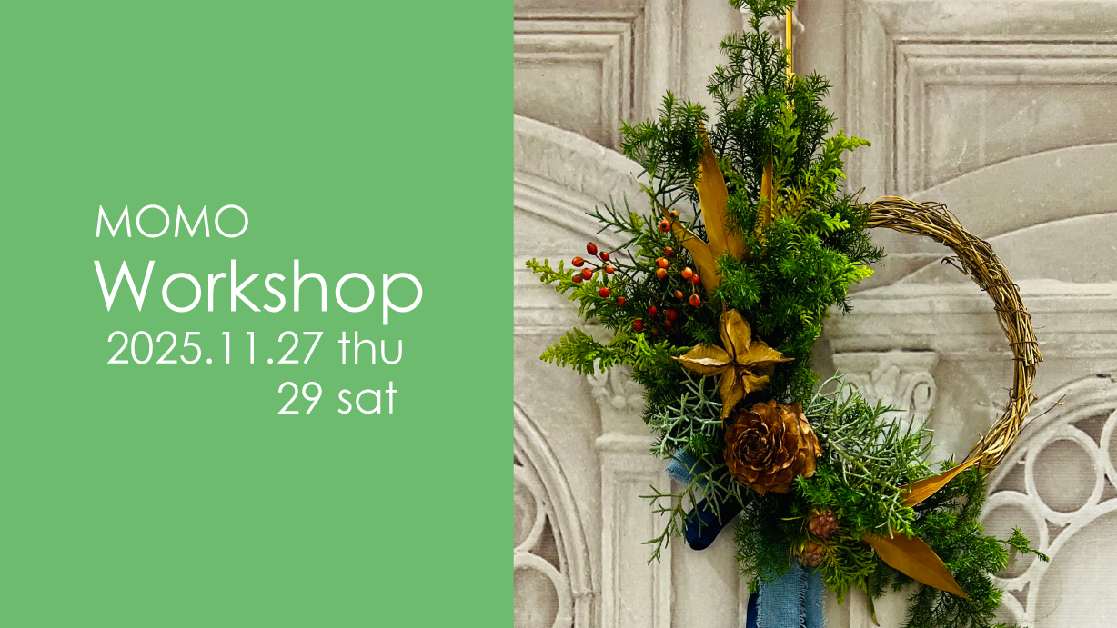 2025_11_momo_新着top