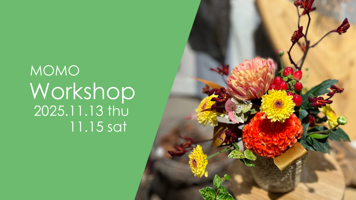 2025_11_momo_新着top_2